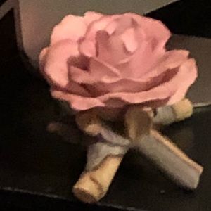 Meet your Posher, Tania